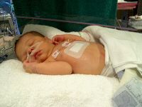 December 18, 2002 - 7 days old