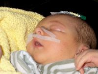 December 20, 2002 - 9 days old - Learning to drink milk