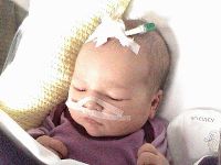 December 21, 2002 - 10 days old