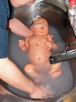 December 24, 2002 - Christmas Eve - 13 days old