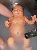 December 24, 2002 - Christmas Eve - 13 days old