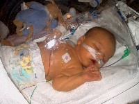 January 15, 2003 - 35 days old - Weight: 4.660kg