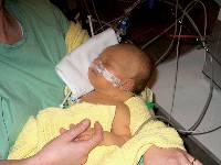 January 15, 2003 - 35 days old