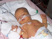 January 15, 2003 - 35 days old