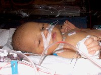 January 15, 2003 - 35 days old