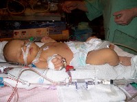 January 15, 2003 - 35 days old