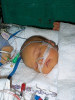 January 19, 2003 - 39 days old