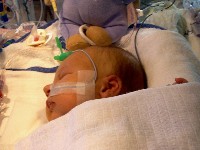 January 19, 2003 - 39 days old