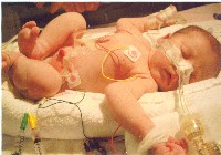 Birth Day - December 11, 2002