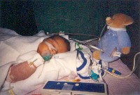 January 21, 2003 - 41 days old