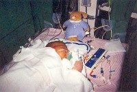 January 21, 2003 - 41 days old