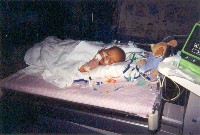 January 21, 2003 - 41 days old