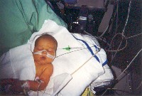 January 21, 2003 - 41 days old