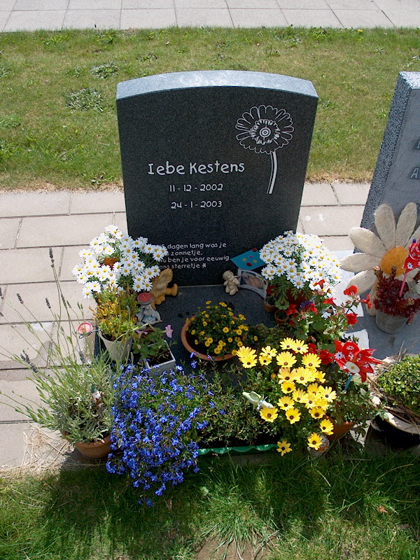 June 19, 2004 - Sem visits Iebe
