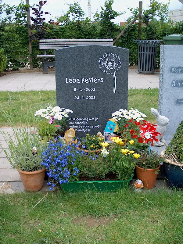 June 19, 2004 - Sem visits Iebe